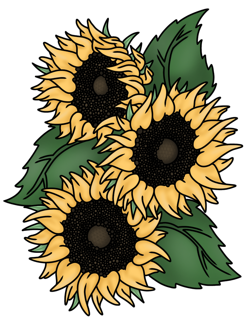 Sunflower Trio Sunflower Trio